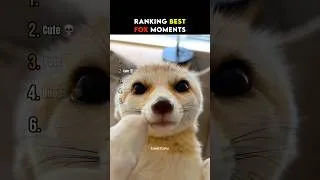 Thumbnail: Ranking Best Fox Moments