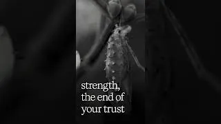 Thumbnail: When Everything Falls Apart -  Finding Strength in Despair  #innerpeace  #motivation #innerstrength