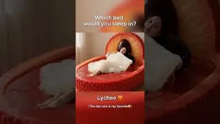Thumbnail: Which Fascinating Bed Would You Choose? 🦋✨ | Ultimate Oddly Satisfying AI ASMR