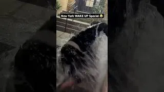 Thumbnail: JUNKIE Wakes Up To A Splash 😂
