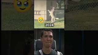 Thumbnail: Try Not To Cry 😭 #shorts #sad #dogshorts #doglife