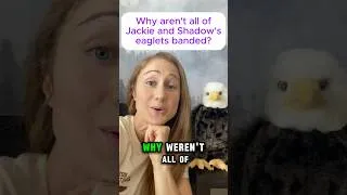 Thumbnail: Why aren't Sandy & Luna banded??