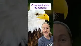 Thumbnail: 50k Q&A Time!