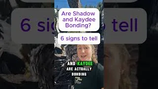 Thumbnail: Have you seen Shadow and Kaydee do this?