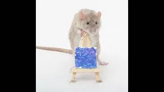 Thumbnail: This weeks ratty paw paintings by my sweet pet rats! #shorts