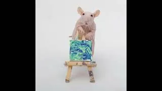 Thumbnail: This week's mini paw paintings by my incredible pet rats! #shorts