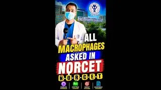 Thumbnail: ALL Macrophages Asked in NORCET 2026 | Complete Macrophages Trick | AIIMS NORCET Nursing Officer