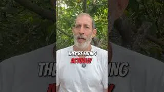 Thumbnail: Why Do We Filter Water But Ignore Toxic Food?