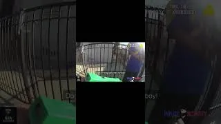Thumbnail: LAPD Officer Beating Trespasser In The Head #bodycam #policevideo #policeambush #policebrutality