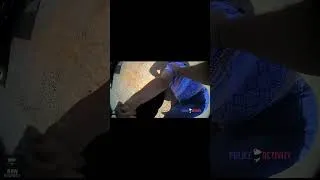 Thumbnail: Traffic Stop Turns Violent: 65-Year-Old Woman Tased Over $80 Ticket #bodycam