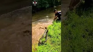 Thumbnail: Wildlife Encounters Nobody Saw Coming