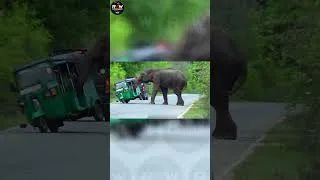 Thumbnail: What Happened Next Was Wild #shorts