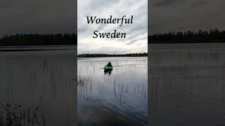 Thumbnail: Wonderful Sweden