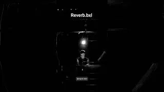 Thumbnail: My opening to Reverb Brussels