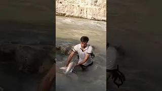 Thumbnail: "Roaming Waters: The Art of Nomadic Fishing" 2023