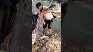 Thumbnail: Nomad style professional fishing 2023