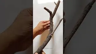Thumbnail: Soap Box Craft #shorts #trending #youtubeshorts #viral  #viralshorts