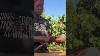 Thumbnail: African Village Mum’s Impressive Knife Skills