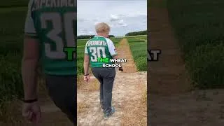 Thumbnail: Stripe Rust and the Yr15 Defence #shorts
