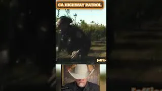 Thumbnail: Cop Gets Ambushed