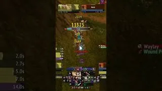 Thumbnail: Justice served for a leveling Ganker in STV  #worldofwarcraft #pvpwowwotlk #warcraft #gaming #mmorpg
