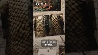 Thumbnail: Are Pangolin Scales Stronger Than Chainmail?