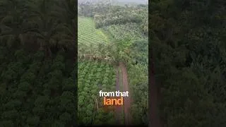 Thumbnail: Buying Farmland? This Is What Most People Forget! 🌱