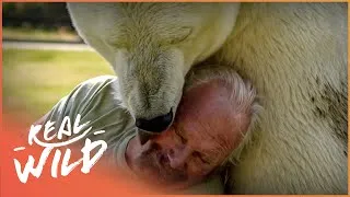 Thumbnail: This Man Has The World's Only Pet Polar Bear