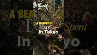 Thumbnail: Tokyo Day 5 Vlog 🐶 Giant Dachshund at Tamburins + Daikanyama Shopping & BEST Donuts in Japan 🍩
