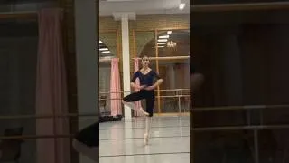 Thumbnail: Pirouettes