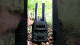 Thumbnail: Taking roll…  #hyperfire4k #trailcamera #reconyx #hunting
