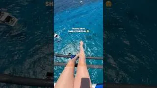 Thumbnail: #SharkWeek called and @mollycarlson1  answered 🦈🚁  #shorts