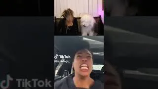 Thumbnail: Woke Feminist Election MELTDOWNS Go METAL