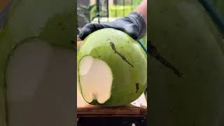 Thumbnail: #cuttingskills #coconutcutting 56🥥🔪 tail