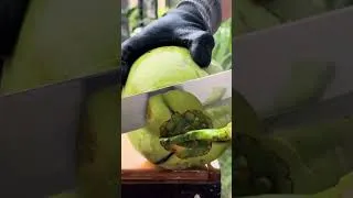Thumbnail: Satisfying Coconut Cutting 🥥🔪 ASMR No.66