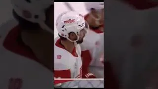 Thumbnail: @OfficialRedWings goal compilation from @StLouisBlues #nhl #hockey