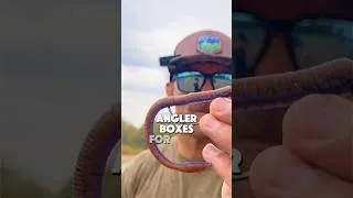 Thumbnail: Why The Texas Rig Was Actually Invented