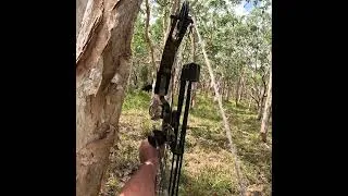 Thumbnail: Hunting Monster Feral Scrub Bulls For Food. #hunting #bowhunt