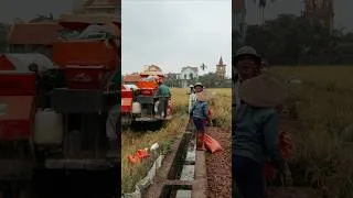 Thumbnail: Thank You Vietnam #travel #food #streetfood #eating #vietnam #travel vlog #cooking #foodie #eat