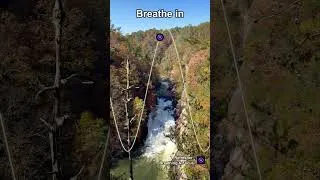 Thumbnail: Calm Breathing Guided 7-7 Technique for Instant Stress Relief