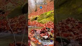 Thumbnail: Guided Calm Breathing 7-7 Hold | Instant Stress Relief Breathwork