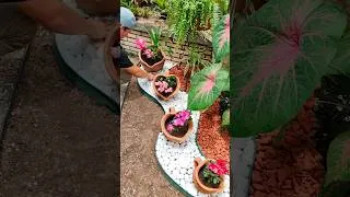 Thumbnail: Partial-shade garden!🪴