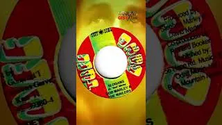 Thumbnail: Bob Marley's “SLOGANS” takes aim at Politicians and Leaders #shorts #shortsfeed #reggae #bobmarley