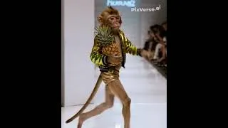 Thumbnail: A skinnylegged monkey, walking the runway #comedy #funny #humor