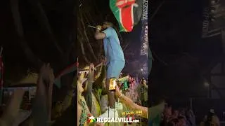 Thumbnail: T.O.K @ REGGAE JAM 2026 🟩🟨🟥