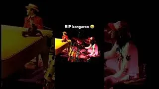 Thumbnail: Elton murders kangaroo
