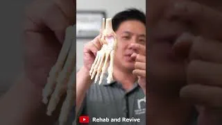 Thumbnail: The Worst Ankle Sprains! | #shorts