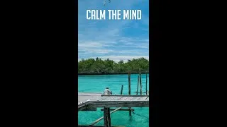 Thumbnail: Relaxing With West Papua Beach