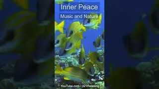 Thumbnail: Calm Your Soul