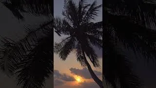 Thumbnail: Relaxing Acoustic Guitar.Soft MusicAcoustic Romantic Guitar love song.